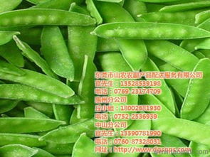 山農(nóng)農(nóng)副產(chǎn)品配送 連接田野與餐桌的綠色橋梁