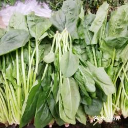 探訪大洋路農(nóng)副產(chǎn)品市場(chǎng) 這里的菠菜究竟好不好吃？